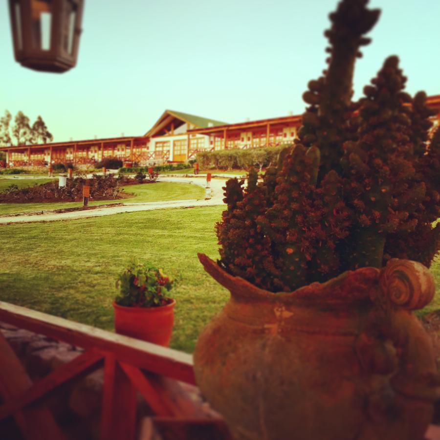 Hacienda Santa Cristina Hotel Ovalle Kültér fotó