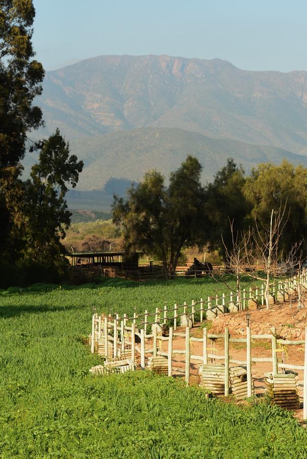 Hacienda Santa Cristina Hotel Ovalle Kültér fotó