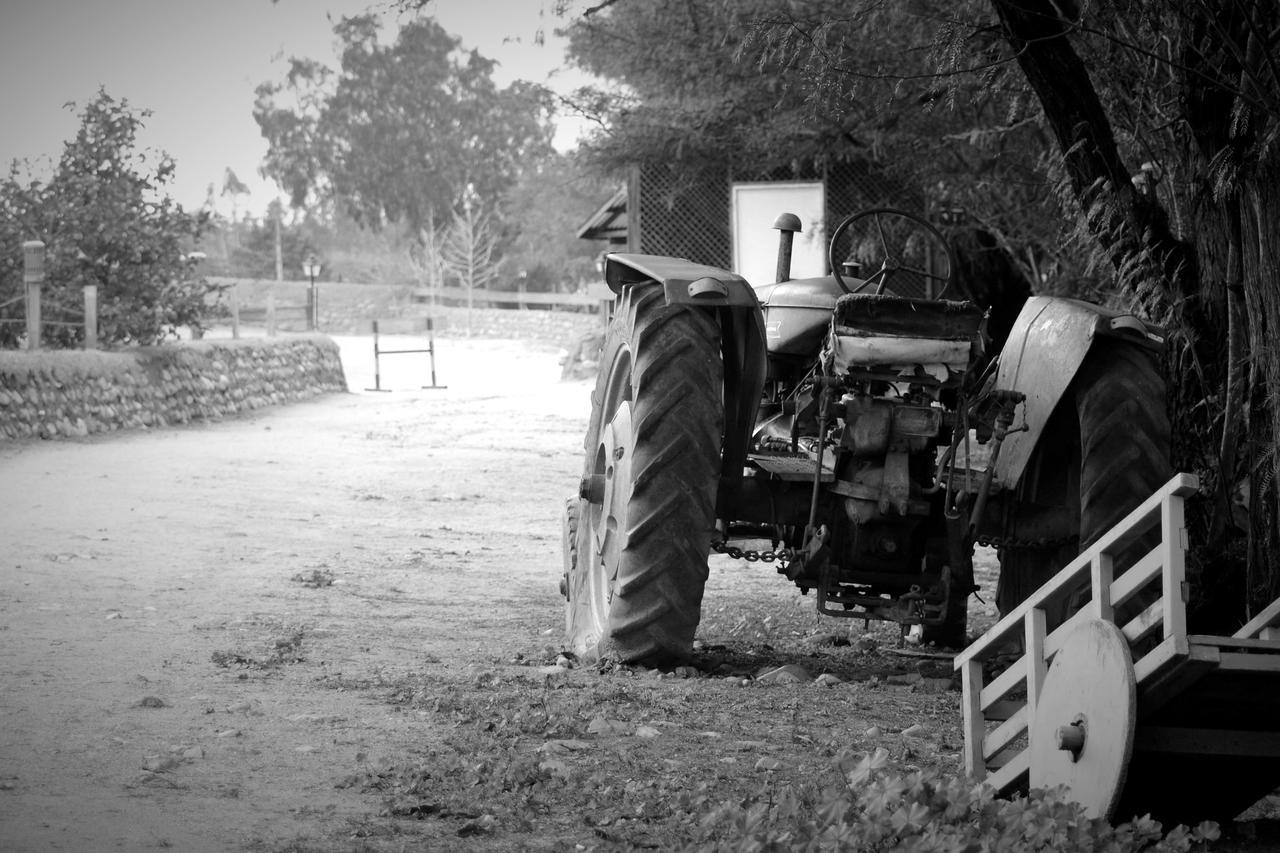 Hacienda Santa Cristina Hotel Ovalle Kültér fotó